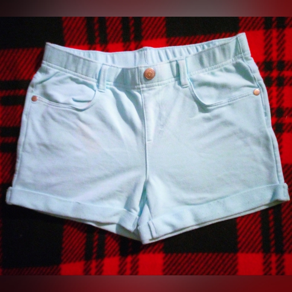Gymboree Girls Size 10 Light Blue Shorts